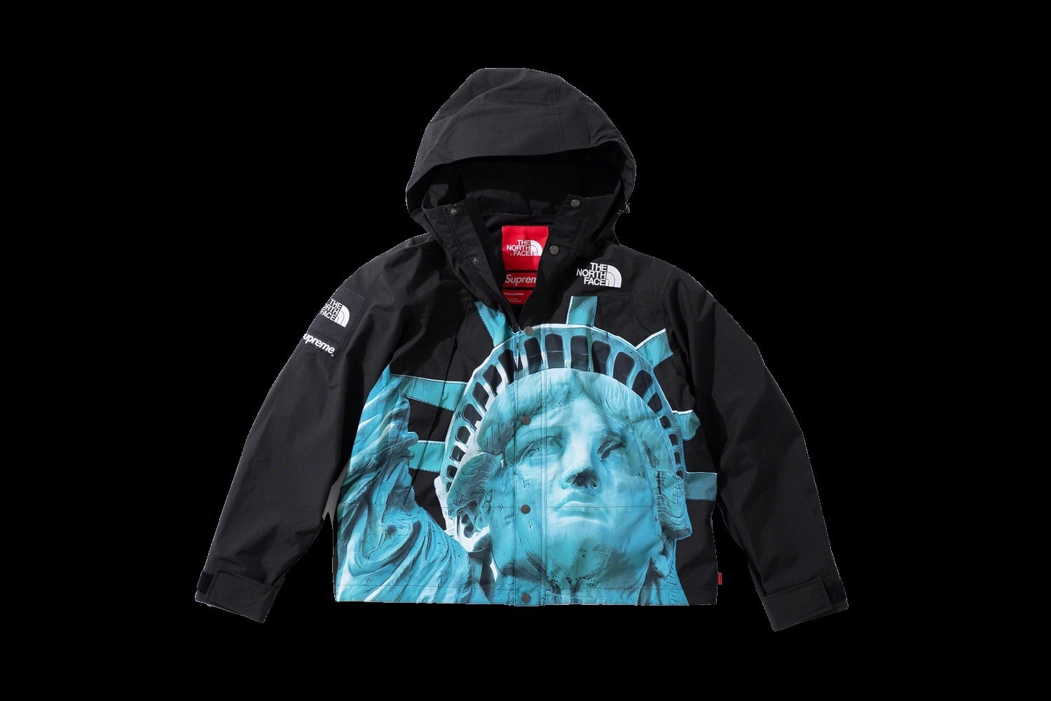 Supreme®/The North Face® Statue of Liberty Mountain Jacket view 23
